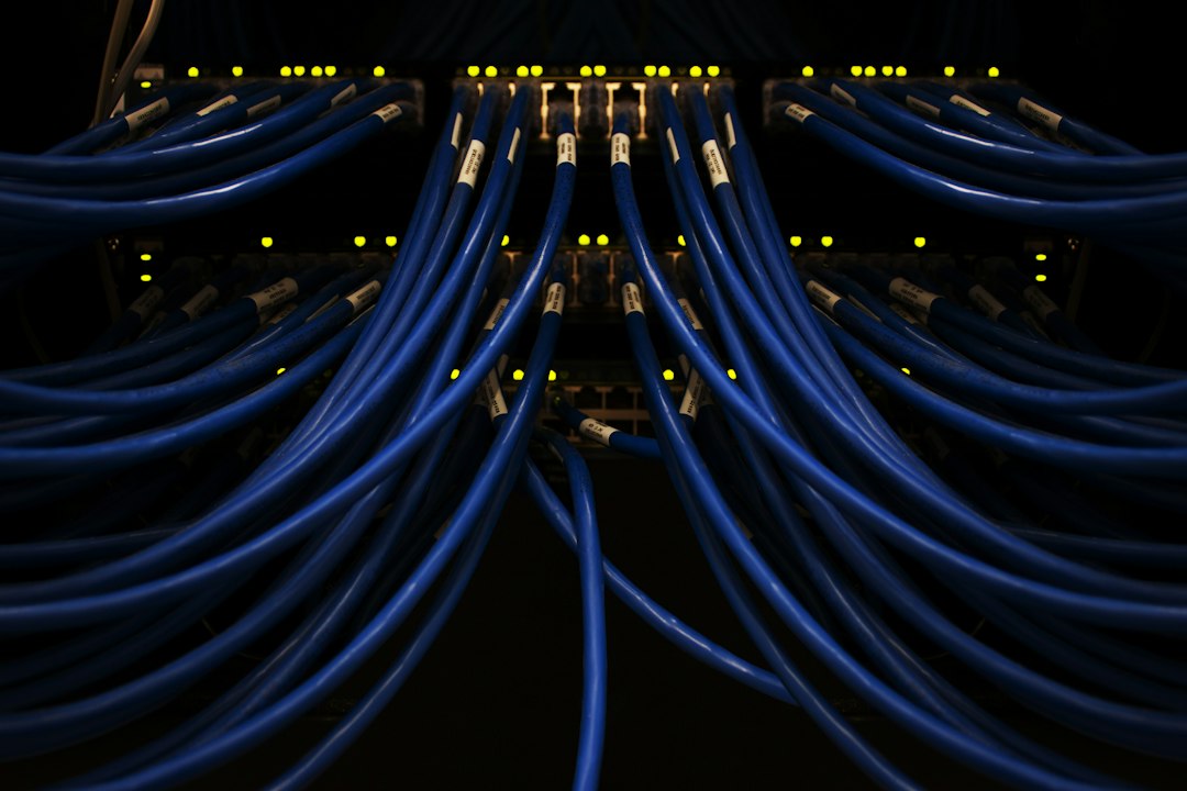 Blue network cables connected to a server